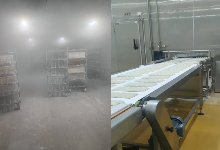 不同食材如何选速冻设备？速冻库与速冻隧道区别解析